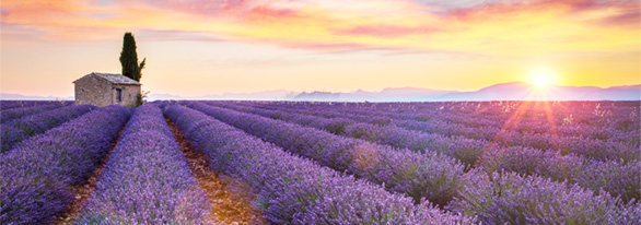 la douce france