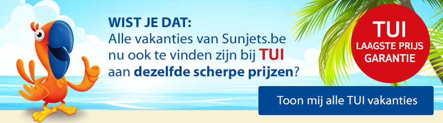 TUI banner