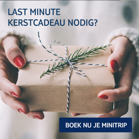 Last minute kerstcadeau nodig?